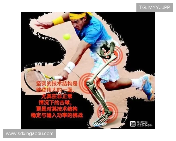 网球专项体能训练提升运动表现与竞技水平的科学方法研究