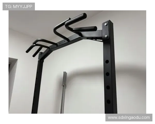 全方位健身器材推荐指南打造高效家庭与专业训练空间